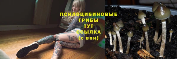 apvp Алексеевка