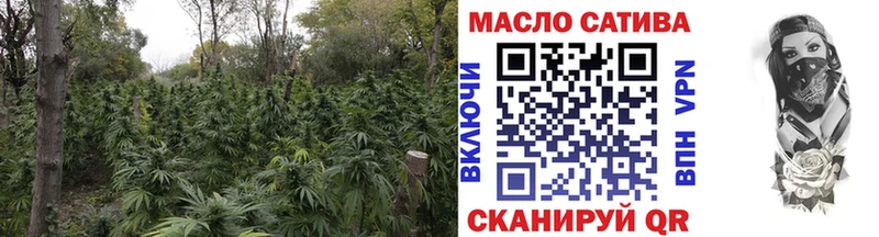 ТГК гашишное масло  закладка  Кирсанов 